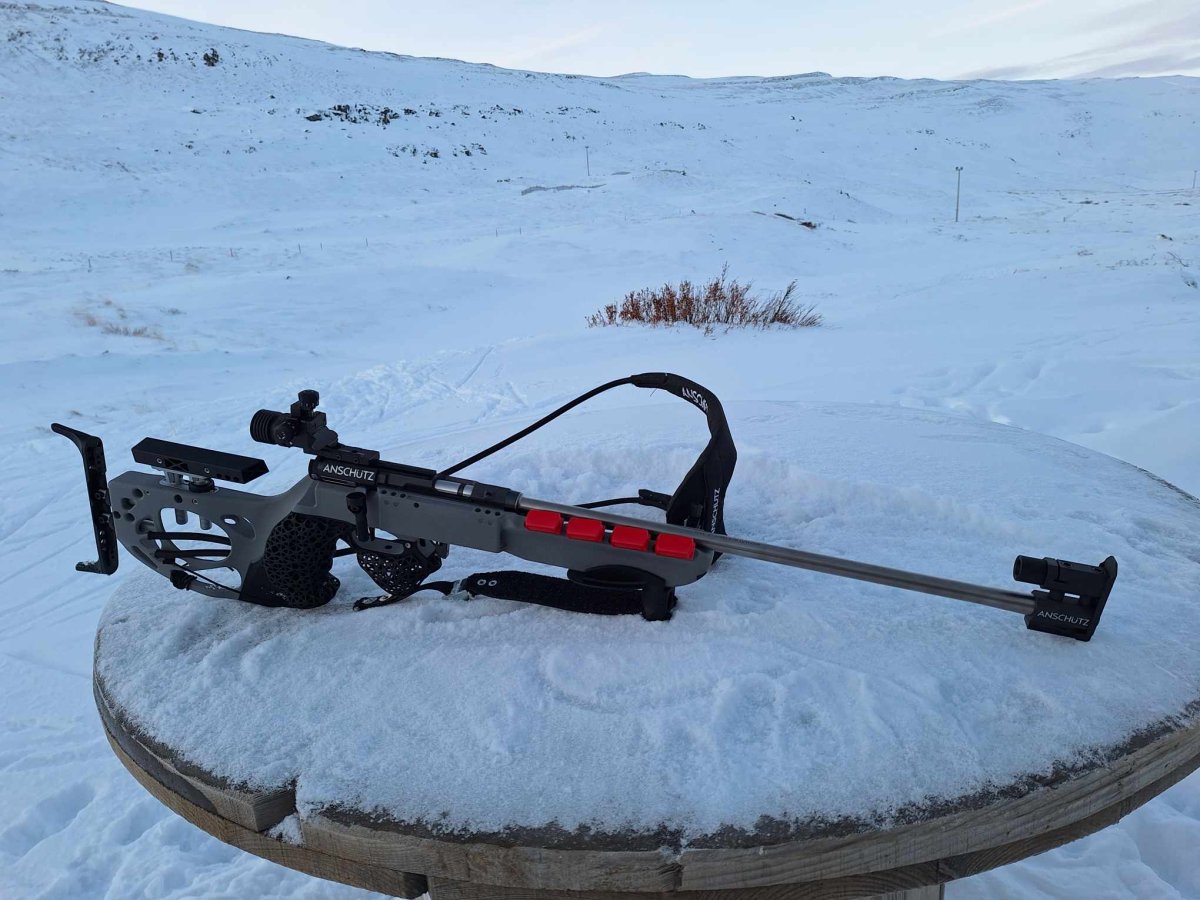 Skíðaskotfimi